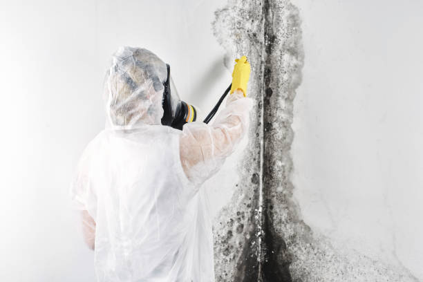 Best Commercial water damage restoration  in Woodlawn, MD