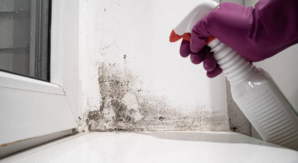 Best 24/7 water damage repair  in Woodlawn, MD